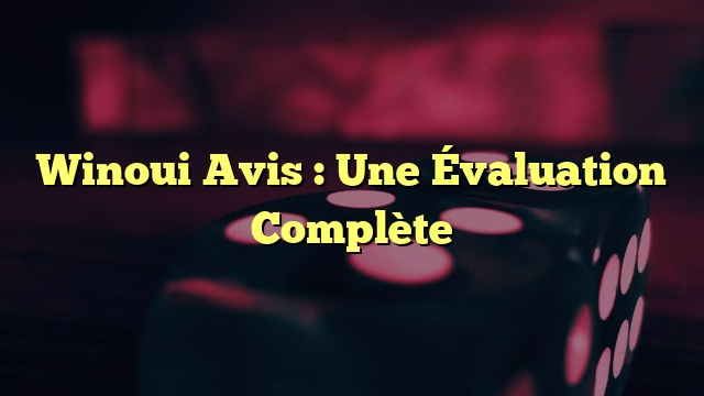 Winoui Avis : Une Évaluation Complète